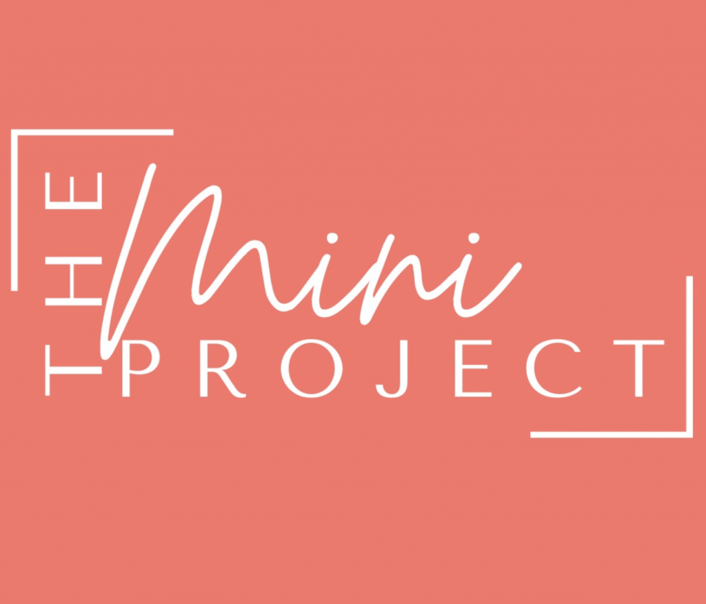 Mini project